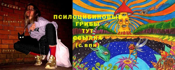 мескалин Баксан