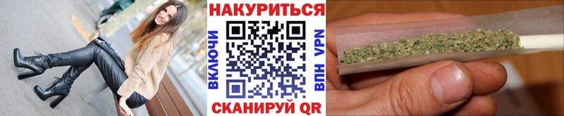 где найти наркотики  Вязьма  Бошки марихуана сатива 